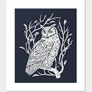 Winter White Owl Posters and Art